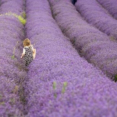 Essential Oil for Mothers and Babies